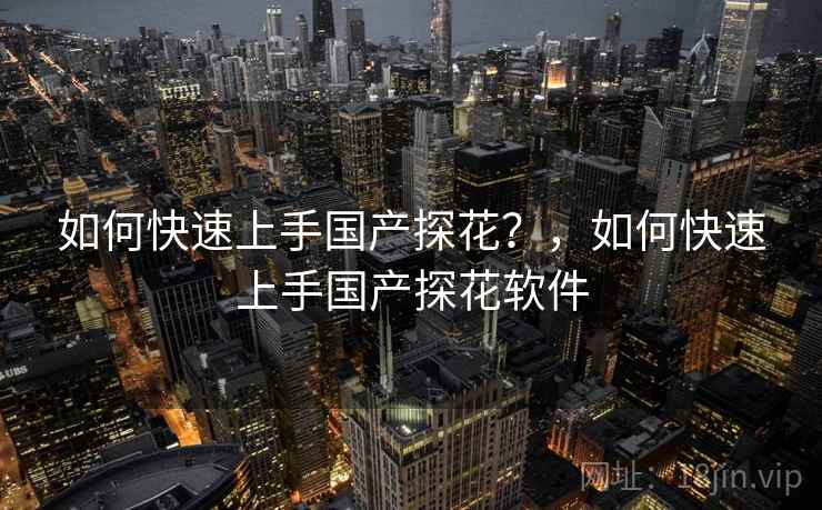 如何快速上手国产探花？，如何快速上手国产探花软件