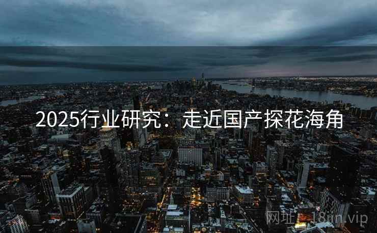 2025行业研究：走近国产探花海角