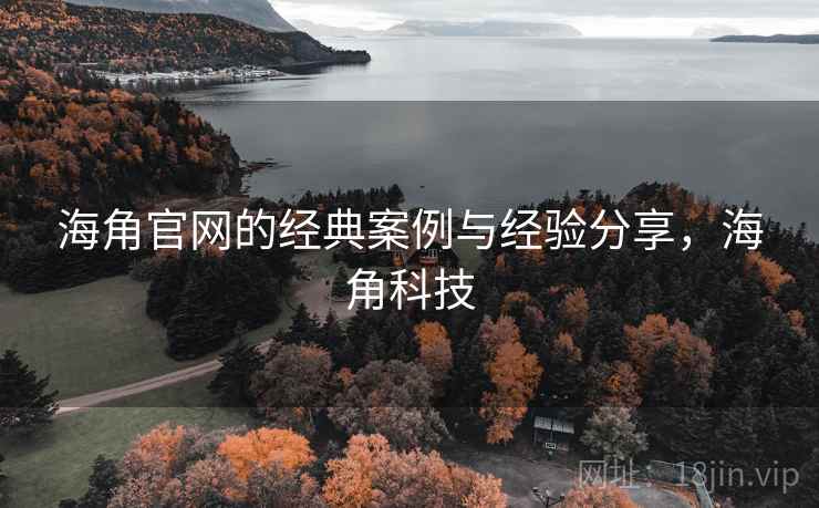 海角官网的经典案例与经验分享，海角科技