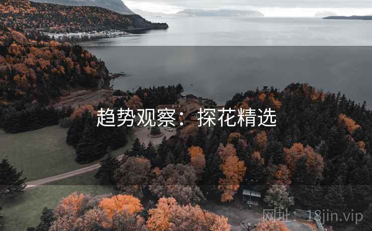 趋势观察：探花精选
