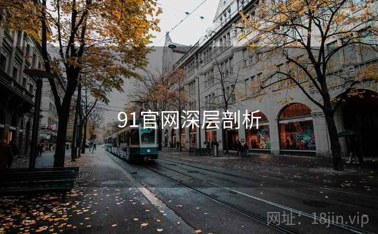 91官网深层剖析