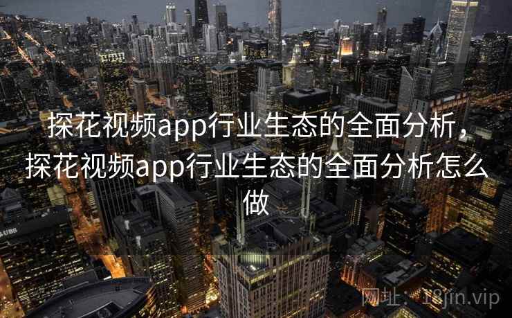 探花视频app行业生态的全面分析，探花视频app行业生态的全面分析怎么做