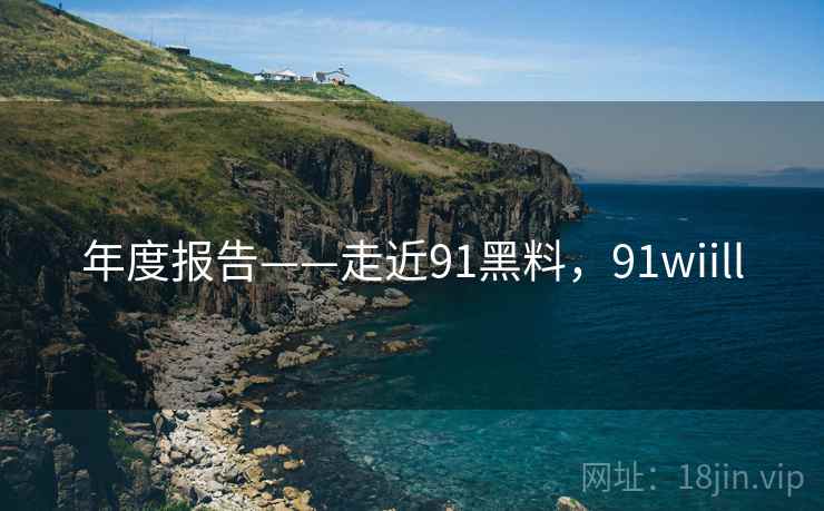 年度报告——走近91黑料,91wiill 年度报告——走近91黑料,91wiill