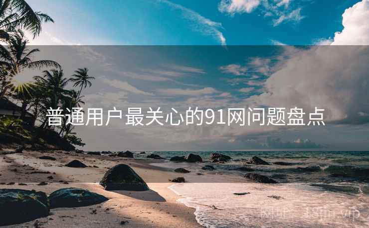 普通用户最关心的91网问题盘点