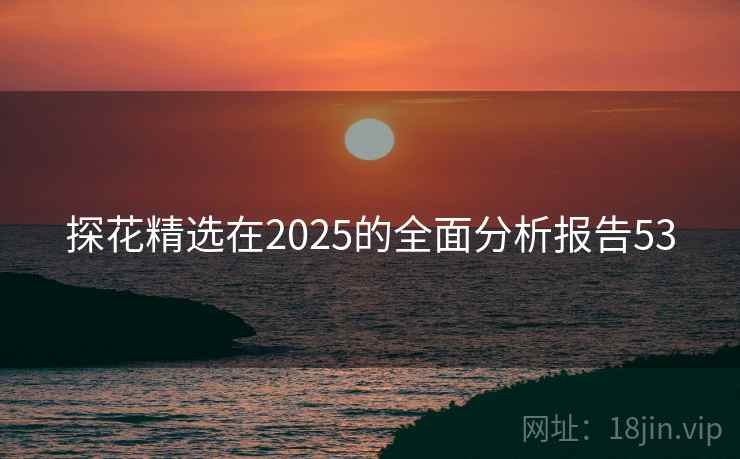 探花精选在2025的全面分析报告53