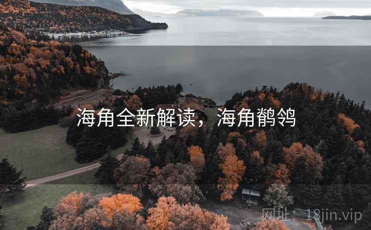 海角全新解读，海角鹡鸰